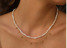 Load image into Gallery viewer, Pure Steel Pearl Necklace