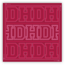 Load image into Gallery viewer, THE PRENTICE CASHMERE MODAL Scarf
